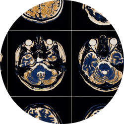 PDU Neurodivergence Learning Series event 9 logo
