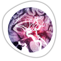 PDU Neurodivergence Learning Series event 10 logo