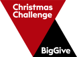 The Big Give Christmas Challenge logo