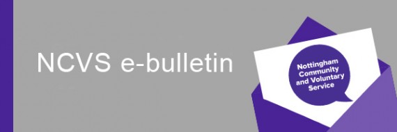 NCVS e-bulletin header