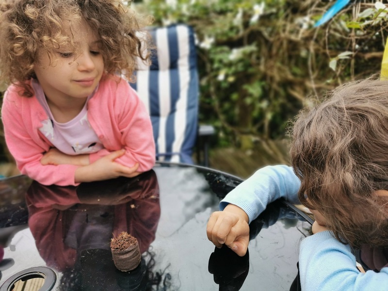 Ivy and Jaiah encourage the Catchfly to grow